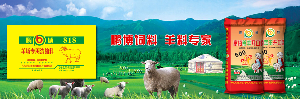 鵬博飼料，羊料專(zhuān)家